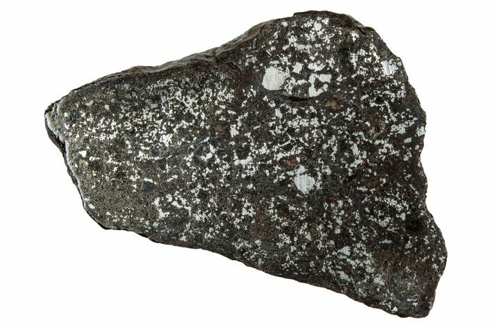 Polished Stony-Iron Mesosiderite Meteorite ( g) - Chile #242898